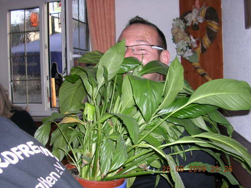 DSCN4312