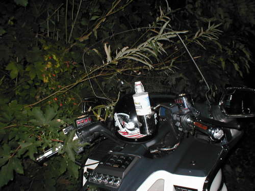 P9070015