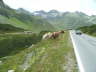 PICT0966