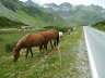 PICT0967