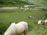PICT0968